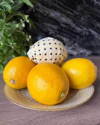 Víkendový pokus o výrobu citronové zmrzliny dopadl výrobou čokoládové zmrzliny a nakoupených ingrediencí na tu citronovou...